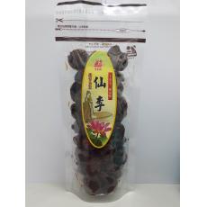 (整箱販售)  李家興仙李